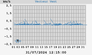 Wind Vector