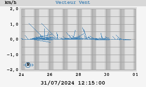 Wind Vector