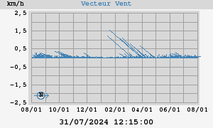 Wind Vector